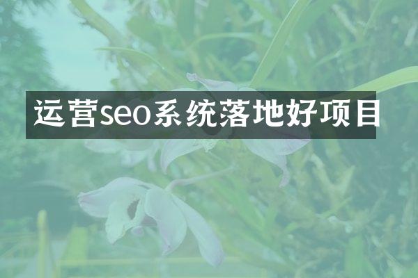 运营seo系统落地好项目