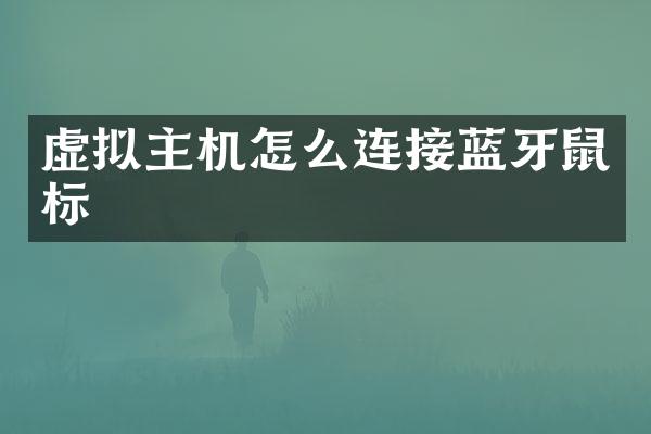 虚拟主机怎么连接蓝牙鼠标