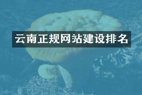 云南正规网站建设排名