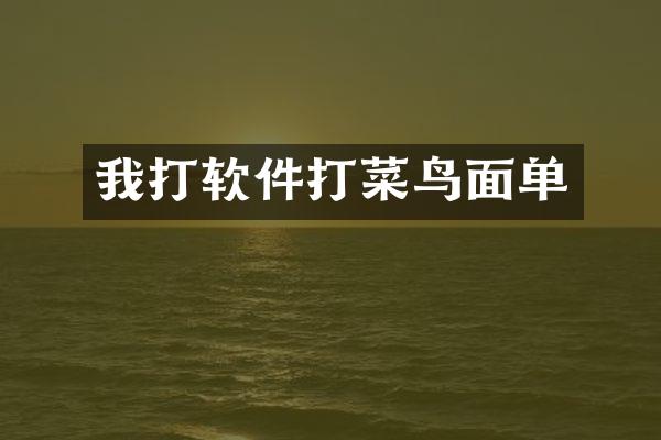 我打软件打菜鸟面单