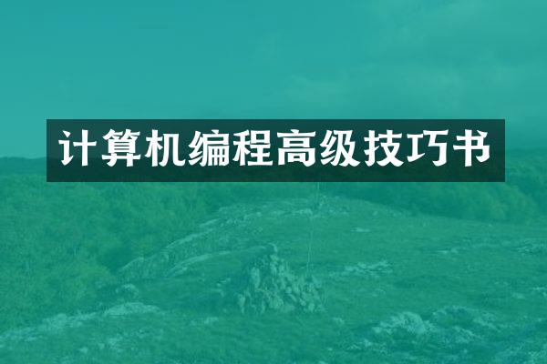 计算机编程高级技巧书