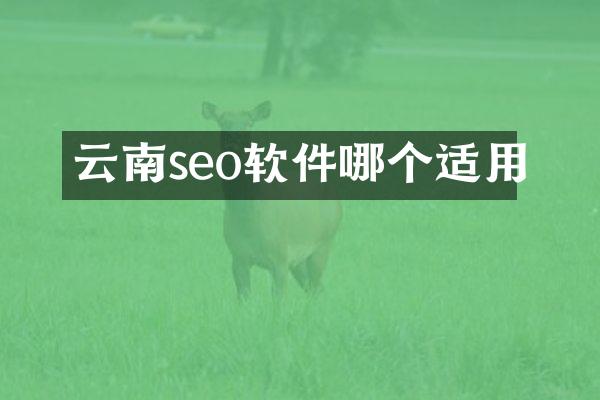 云南seo软件哪个适用