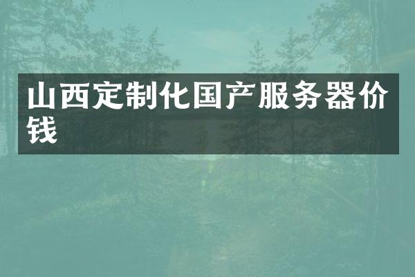 山西定制化国产服务器价钱