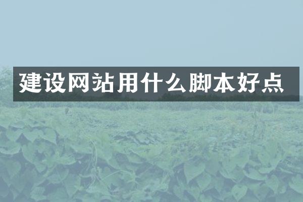 建设网站用什么脚本好点