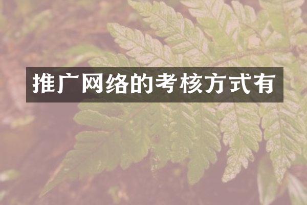 推广网络的考核方式有