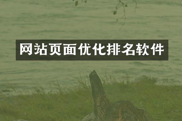 网站页面优化排名软件
