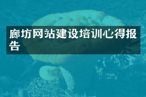 廊坊网站建设培训心得报告