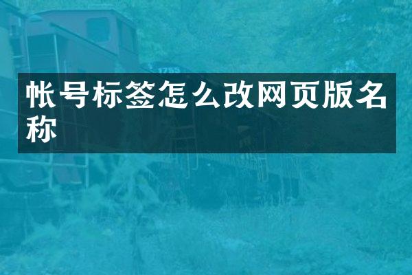帐号标签怎么改网页版名称