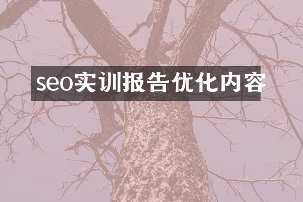 seo实训报告优化内容