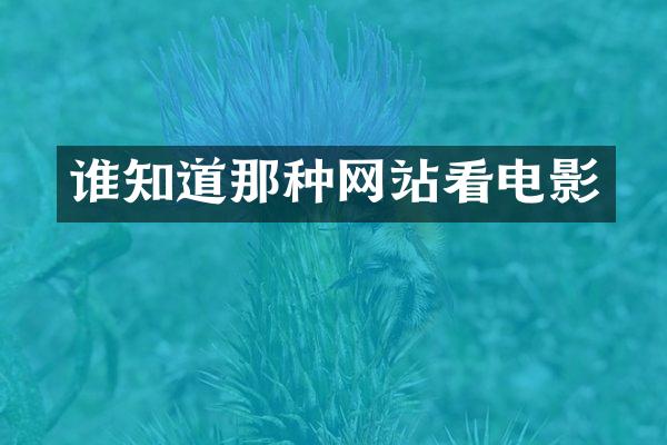 谁知道那种网站看电影