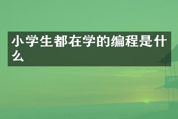 小学生都在学的编程是什么