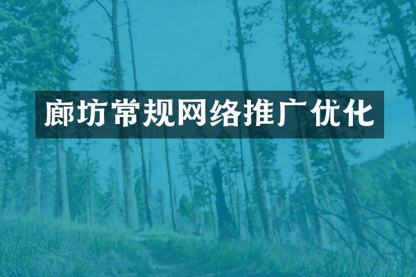 廊坊常规网络推广优化