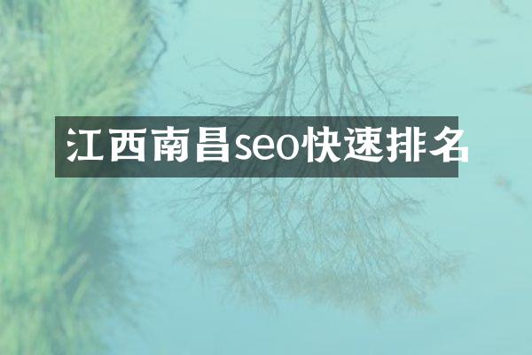江西南昌seo快速排名