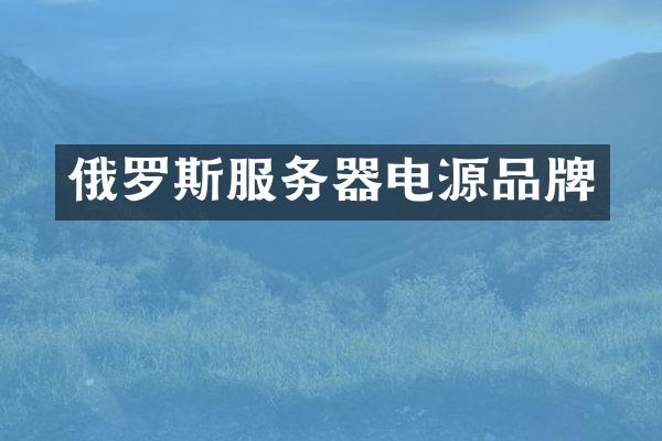 俄罗斯服务器电源品牌