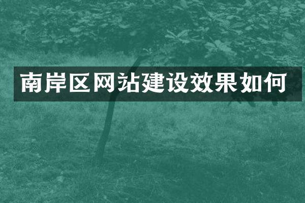 南岸区网站建设效果如何