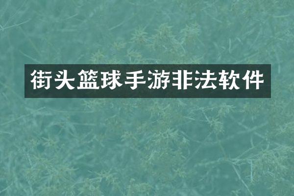 街头篮球手游非法软件