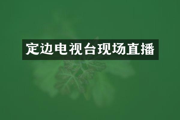 定边电视台现场直播