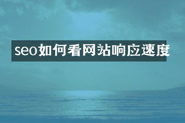 seo如何看网站响应速度