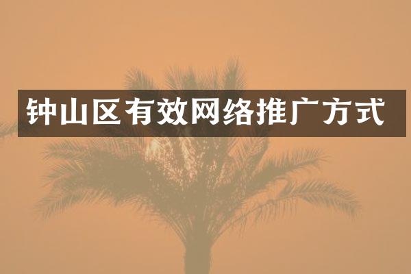 钟山区有效网络推广方式