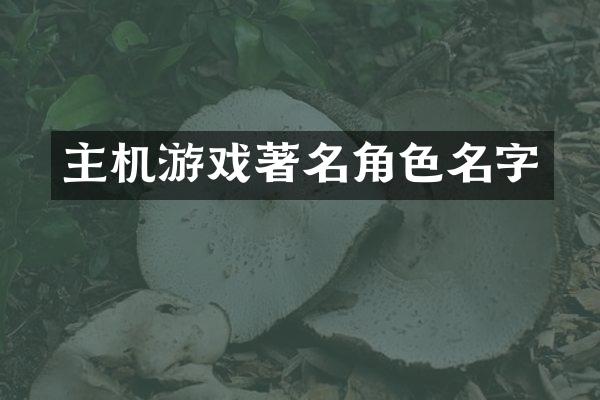 主机游戏著名角色名字