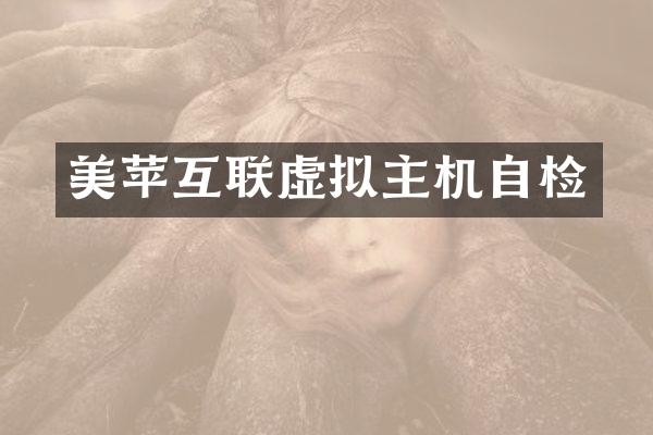 美苹互联虚拟主机自检