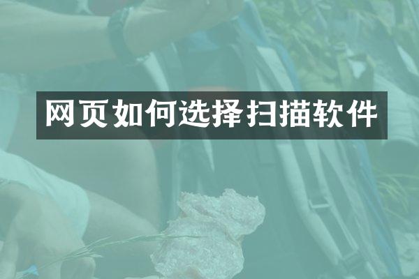 网页如何选择扫描软件