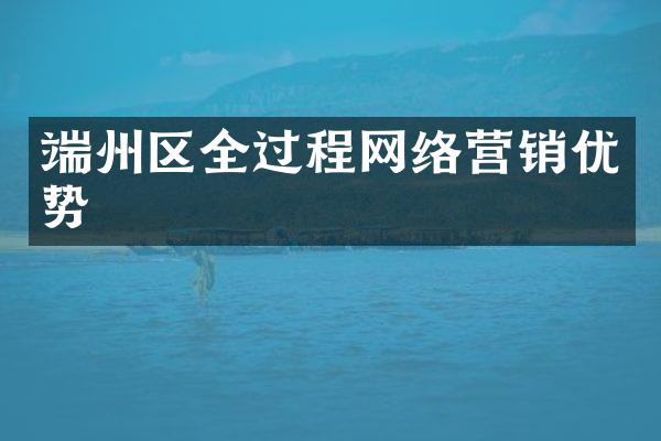 端州区全过程网络营销优势