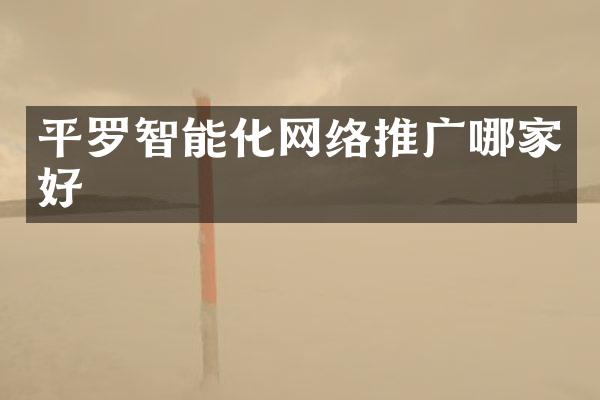 平罗智能化网络推广哪家好