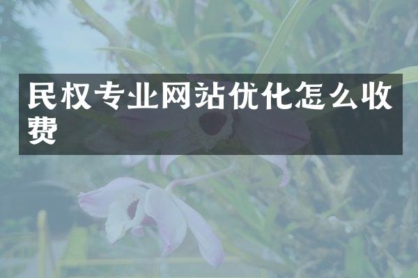 民权专业网站优化怎么收费