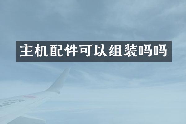主机配件可以组装吗吗