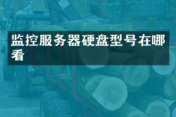 监控服务器硬盘型号在哪看