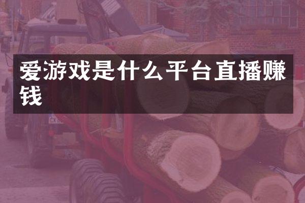 爱游戏是什么平台直播赚钱