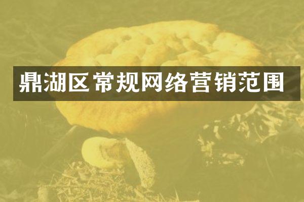 鼎湖区常规网络营销范围