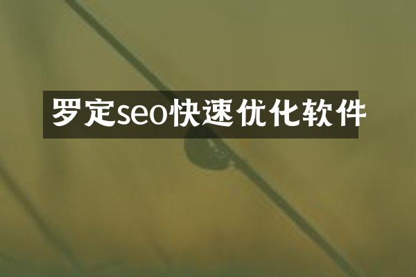 罗定seo快速优化软件