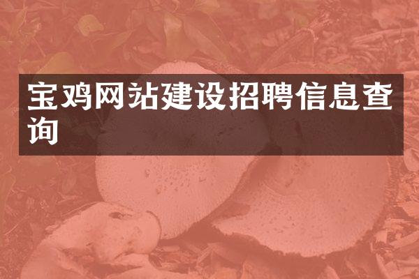 宝鸡网站建设招聘信息查询