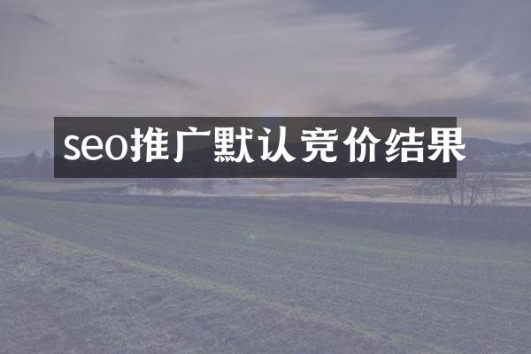 seo推广默认竞价结果