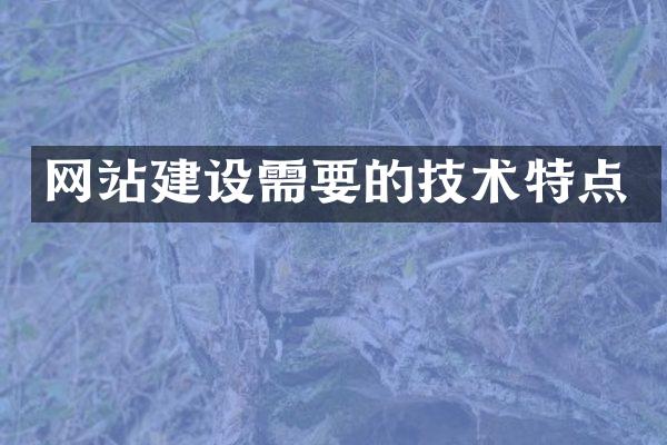 网站建设需要的技术特点