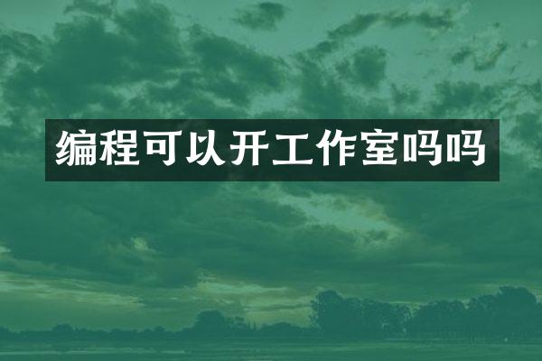 编程可以开工作室吗吗