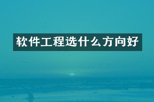 软件工程选什么方向好