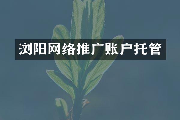 浏阳网络推广账户托管