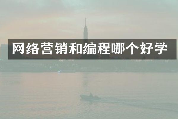 网络营销和编程哪个好学