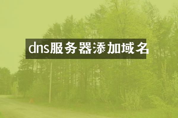 dns服务器添加域名