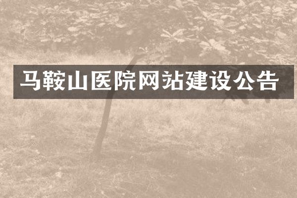 马鞍山医院网站建设公告