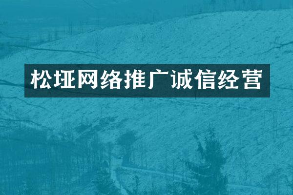 松垭网络推广诚信经营