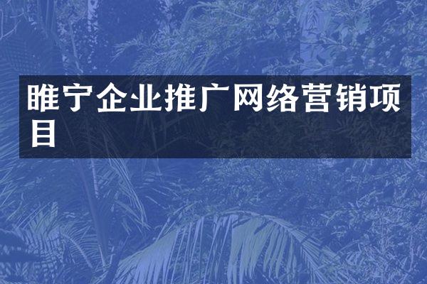 睢宁企业推广网络营销项目