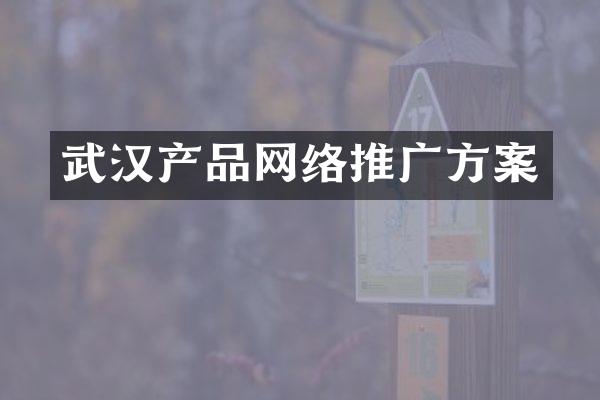 武汉产品网络推广方案