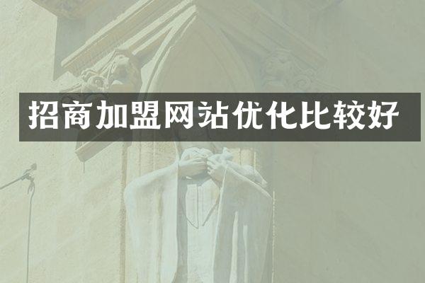 招商加盟网站优化比较好