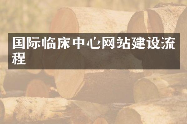 国际临床中心网站建设流程