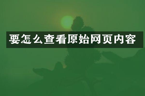 要怎么查看原始网页内容