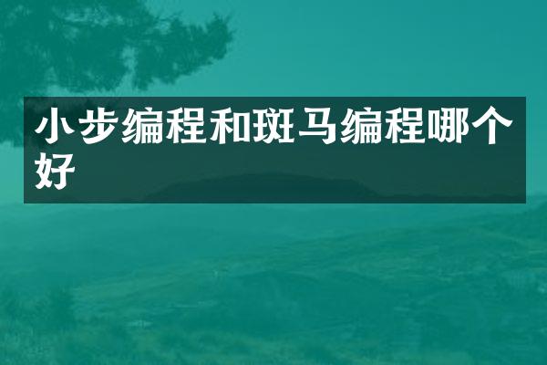 小步编程和斑马编程哪个好